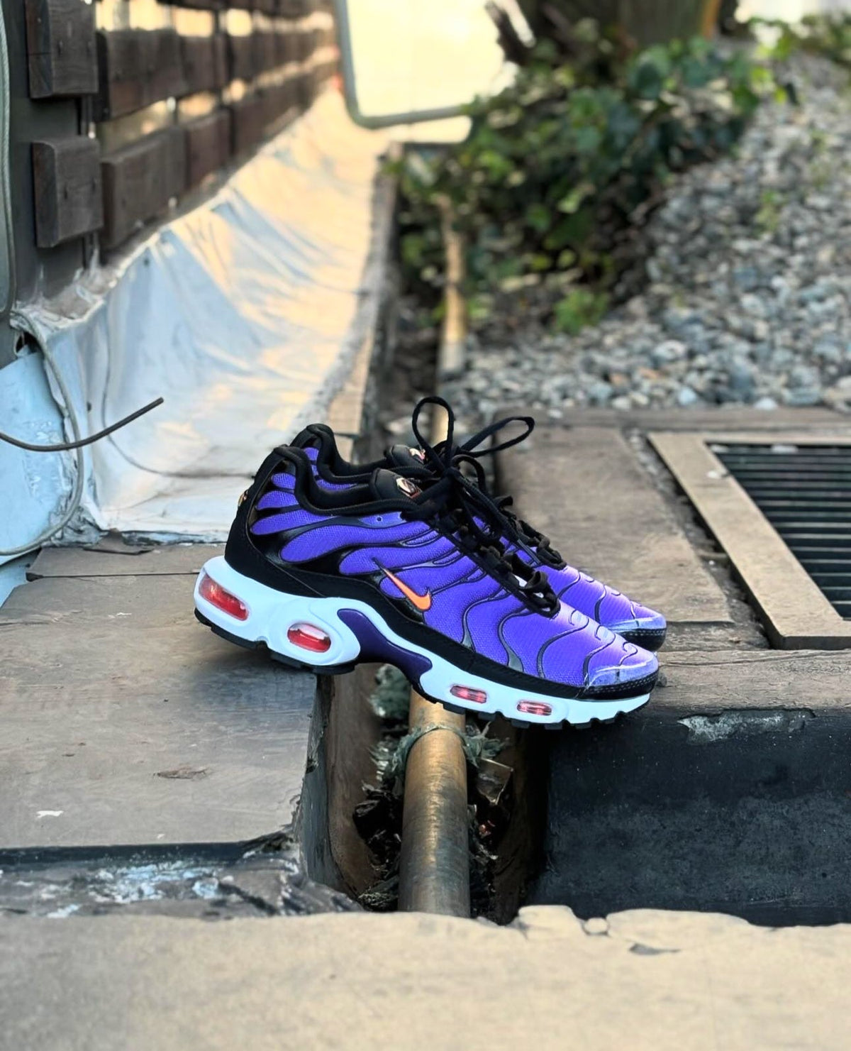 Nike TN – Morado