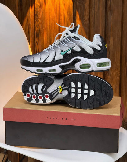 Nike TN Negro – Gris