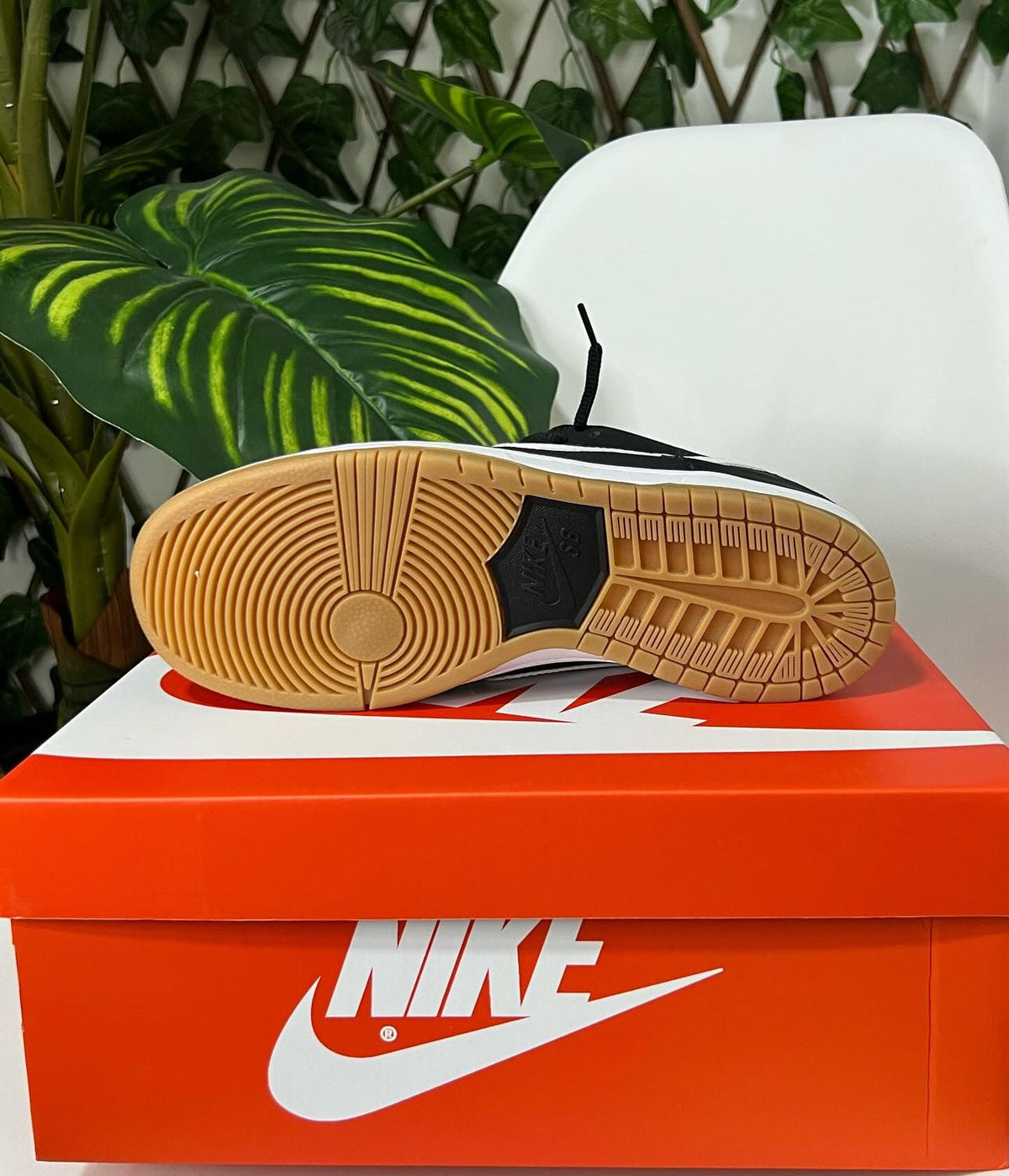 Nike SB Dunk Negra – Blanca