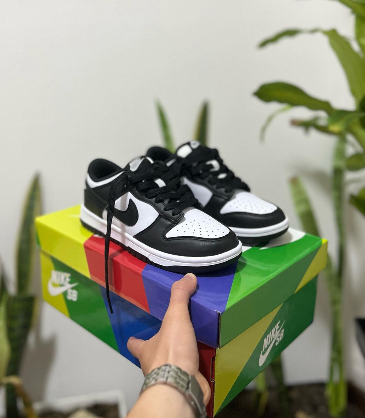 Nike SB Dunk Negro – Blanco